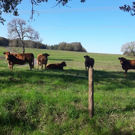 Tour Des Hirondelles アパート *